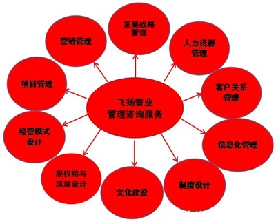 管理咨詢服務哪家強？專業信息咨詢機構的選擇與考量